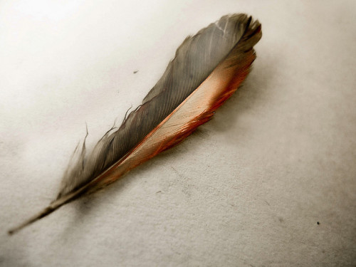 el año del silencio