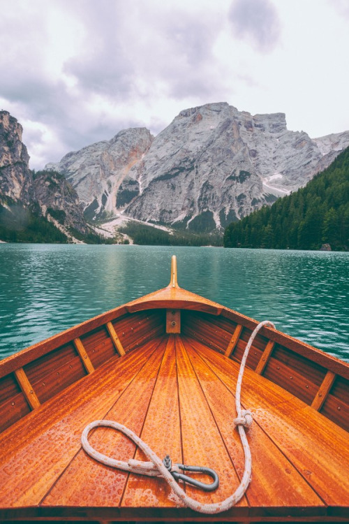 tumblr_ngmc07sz6o1qkfpxgo1_500